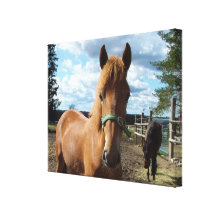 Impresión de la lona de los caballos lona envuelta para galerias