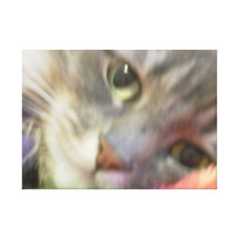 Impresión de la lona del gatito impresiones en lienzo estiradas