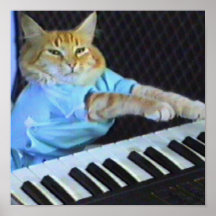 ¡Impresión de la lona del gato del teclado! Posters