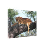 Impresión de la lona del león de la siesta de la t impresión de lienzo