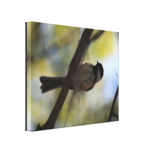 Impresión de la lona del pájaro de Lil Lienzo Envuelto Para Galerias