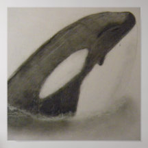 Impresión de la orca posters