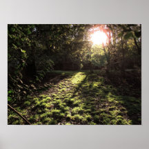 Impresión de la sol del jardín poster