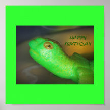 Impresión de la tortuga del feliz cumpleaños poster