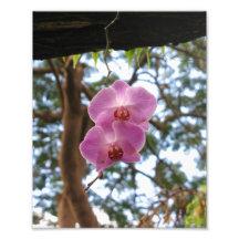 Impresión de las orquídeas 2 arte fotografico