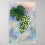 Impresión de las uvas de vino de Chardonnay Posters