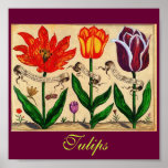 Impresión de los tulipanes del vintage posters