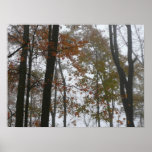 Impresión de niebla de la fotografía de la caída poster