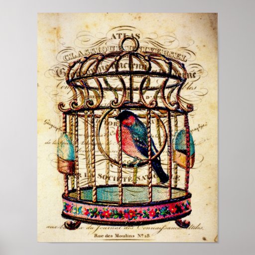 Impresión de papel francesa del arte del Birdcage  Posters