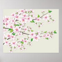 Impresión de Sakura de la flor de cerezo Posters