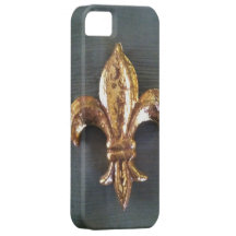 IMPRESIÓN DE SEDA DEL CRESPÓN DE LA FLOR DE LIS DE iPhone 5 Case-Mate COBERTURAS