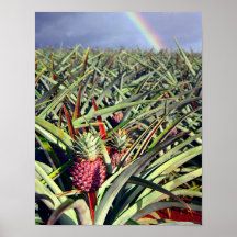 Impresión del arco iris de la piña impresiones