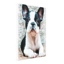 Impresión del arte de la lona del dogo francés lona envuelta para galerias