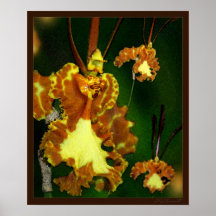 Impresión del arte de la orquídea de mariposa impresiones
