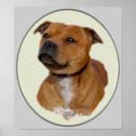 Impresión del arte de Staffordshire bull terrier Impresiones