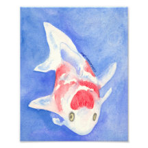 Impresión del arte del Goldfish de Koi Impresion Fotografica