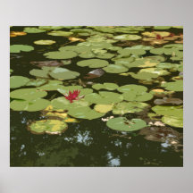 Impresión del arte del impresionismo de Lilypads # Poster
