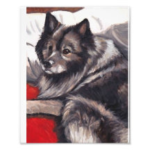 Impresión del arte del perro del Keeshond Arte Fotografico