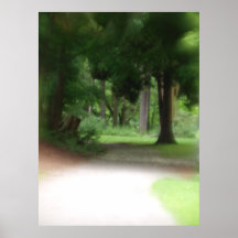 Impresión del bosque del verano poster