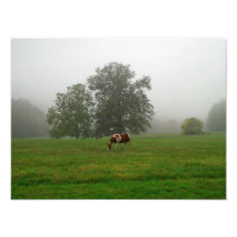 Impresión del caballo hermoso de la pintura en una fotos