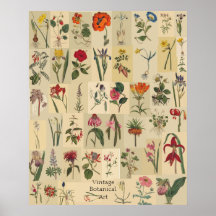 Impresión del collage de Botanicals del vintage de Impresiones