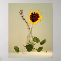 Impresión del florero del Rudbeckia Posters