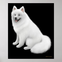 Impresión del perro del samoyedo Nevado Poster