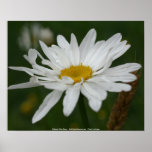 Impresión del poster de la fotografía de la flor d
