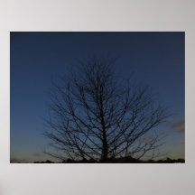 Impresión del poster del árbol de la noche