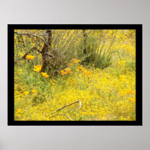 Impresión del prado de los Wildflowers Posters
