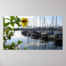 Impresión del puerto de Puerto Vallarta, México Poster