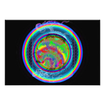 Impresión del satén de la foto de Kodak del dragón