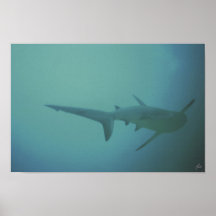 impresión del tailfin poster