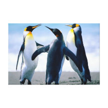 impresión del trío del pingüino impresion de lienzo