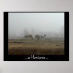Impresión escarchada de los caballos de la niebla  poster