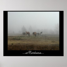 Impresión escarchada de los caballos de la niebla  poster