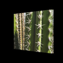 Impresión estirada de la lona del cactus de barril impresiones de lienzo