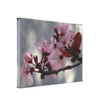 Impresión estirada de la lona - flores de la flor  lona envuelta para galerias