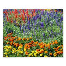Impresión floral colorida del jardín de flores 10x cojinete