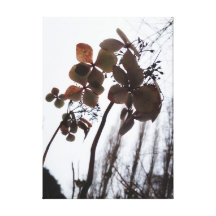 Impresión floral contemporánea de la foto de la lo lona estirada galerias