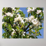 Impresión floral floreciente de las ramas posters