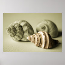 Impresión fotográfica de la lona del ~ de tres cás posters
