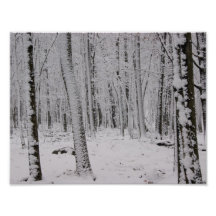 Impresión fotográfica de la soledad 11x8 Nevado