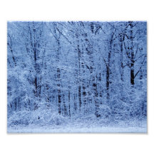 Impresión fotográfica de los árboles 10x8 Nevado N