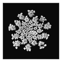 "Impresión fotográfica del copo de nieve de la rei