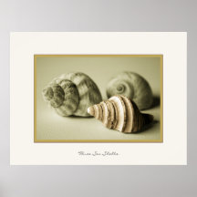 Impresión fotográfica del ~ de tres cáscaras del m posters