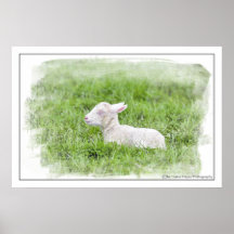 Impresión fotográfica del pequeño Watercolour del  Poster