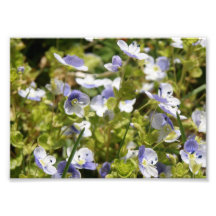 Impresión fotográfica floral delicada 7x5