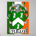 Impresión irlandesa de la bandera del escudo de ar posters
