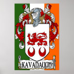 Impresión irlandesa de la bandera del escudo de ar posters